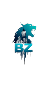 Bigzehd Digital Solutions ltd